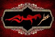 پرچم عزای حسینی بر فراز گنبد حرم امام رضا(ع)