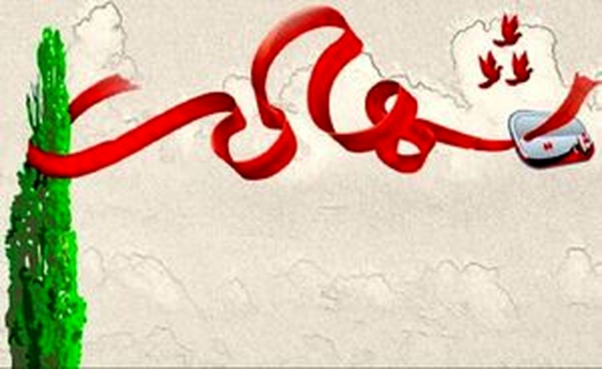 
جزئیات شهادت مامور انتظامی در شهرستان اردل
