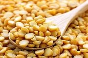 قیمت انواع لپه در بازار چند؟
