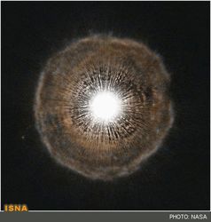 n00179173-r-b-013