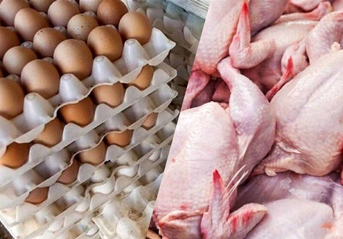 قیمت مرغ، تخم مرغ و گوشت اعلام شد