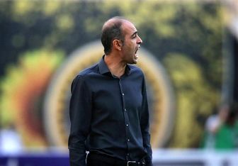 محرم نویدکیا و امیر قلعه نویی هم نمی بازند!
