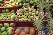خودنمایی میوه های ممنوعه در مغازه ها