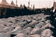 آمار کشته شدگان فاجعه منا به تفکیک استان‌ها