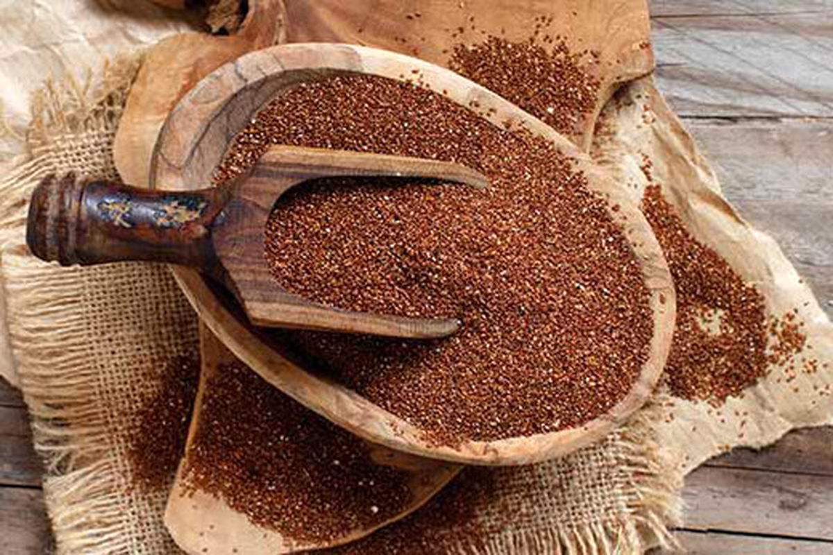 بهترین گیاه برای کاهش عطش در ماه رمضان
