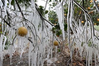 دلیلی که باعث می‌شود، احساس سرما نکنیم

