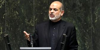 وزیر کشور خواستار رسیدگی به تخلف افراد خاطی و مجرم در حادثه متروپل شد