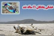 نوشداروی بختگان پس از مرگ هم نرسید