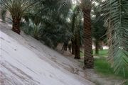 شهری که زیر شن های روان دفن می شود