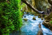 طبیعت تابستانی لردگان /گزارش تصویری