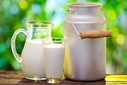 از مضرات شیر غافل نشوید