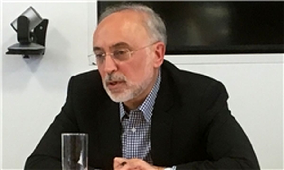 صالحی در سالگرد برجام: دستاوردهای بزرگی داشتیم