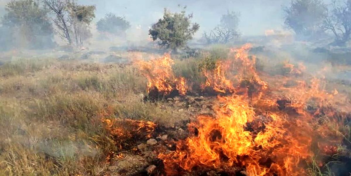 تلاش برای مهار آتش‌سوزی جنگل‌های کوه نارک گچساران