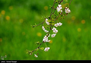 8239f637-faef-4b54-a83b-0872a1ede831