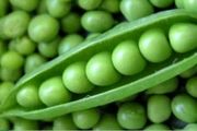 خواص باورنکردنی نخود سبز