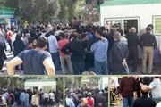 اعلام آمادگی بسیج برای نظارت بر توزیع گوشت در سراسر کشور