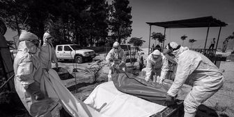 آمار امروز کرونا در ایران 24 فروردین/ 24760 مبتلای جدید کرونا