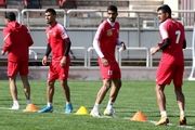 حضور مهمان ناخوانده در تمرینات پرسپولیس!+عکس