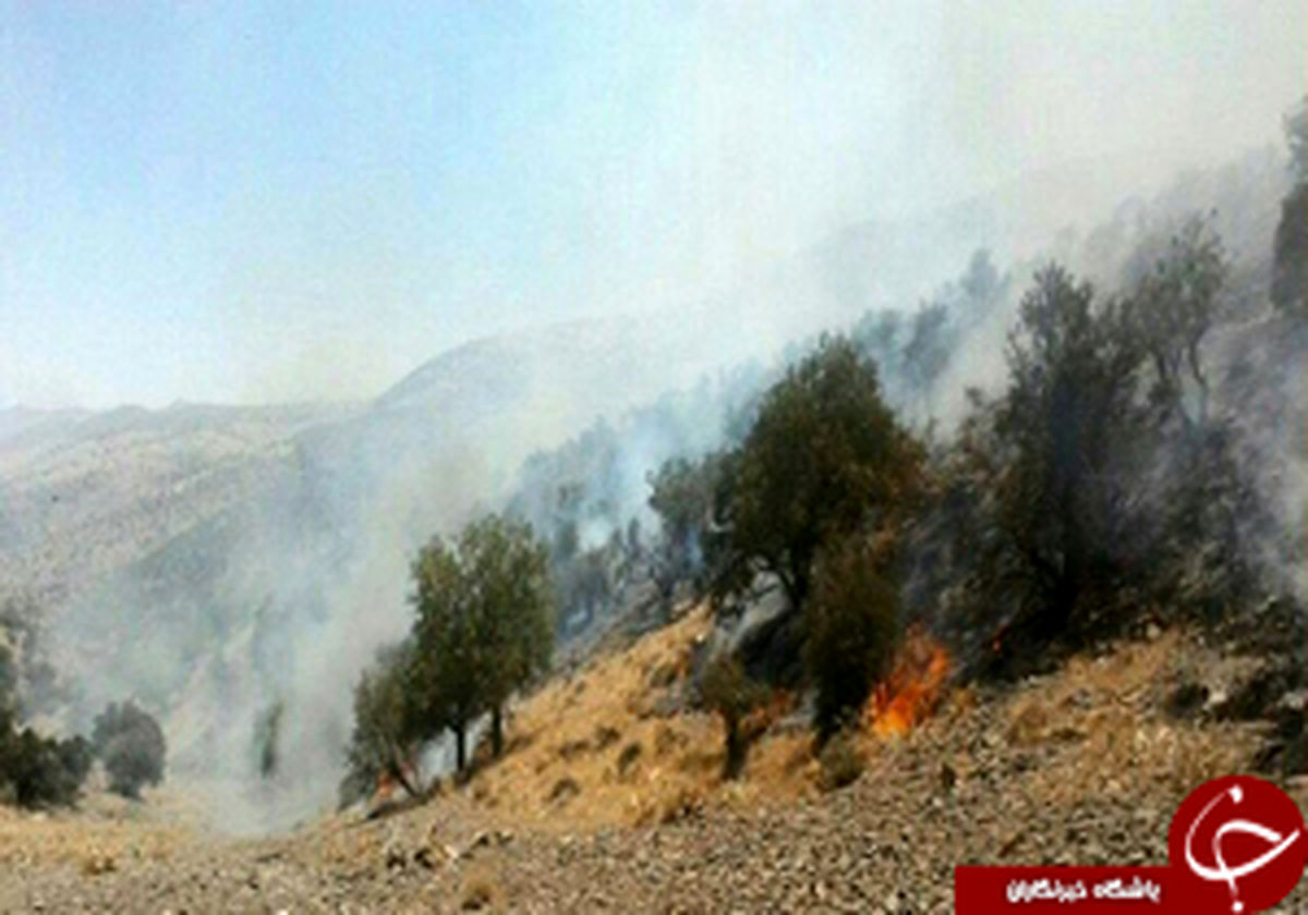 
دامداران
عامل آتش سوزی جنگل‌های پاسارگاد 