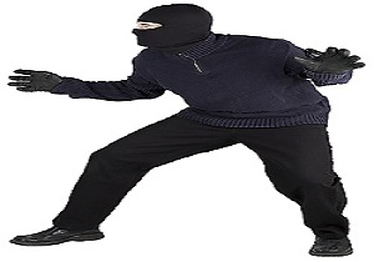 
انهدام باند سارقان منزل
