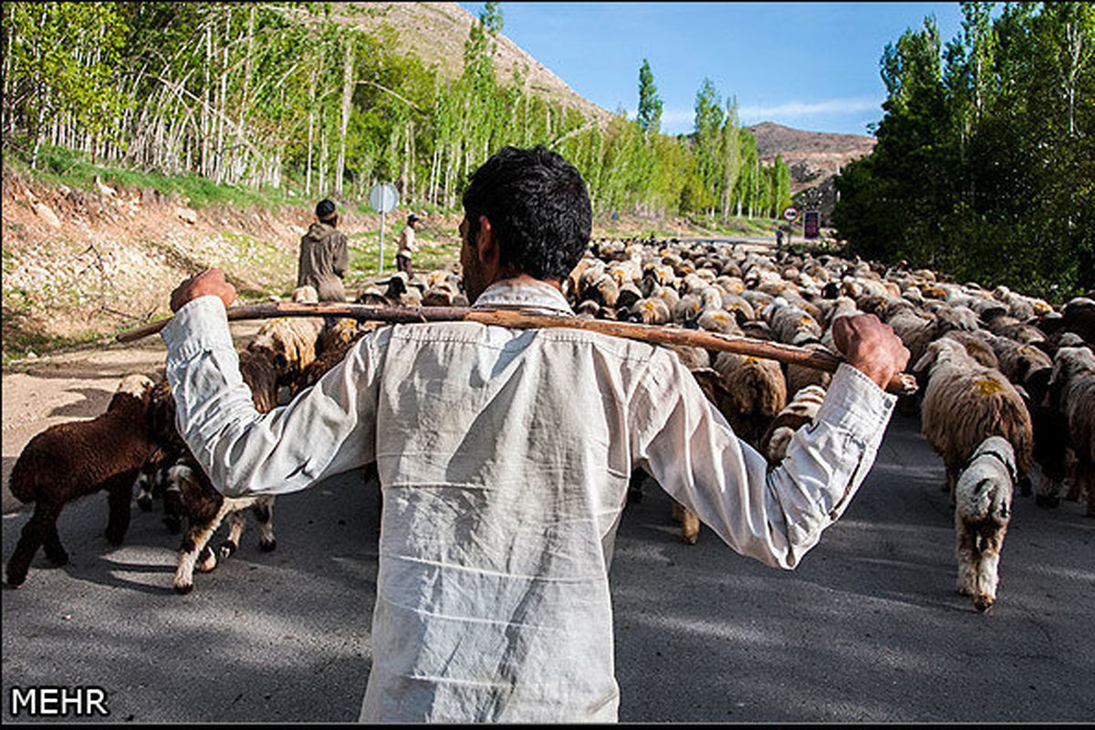 نقش عشایر در رونق اقتصادی