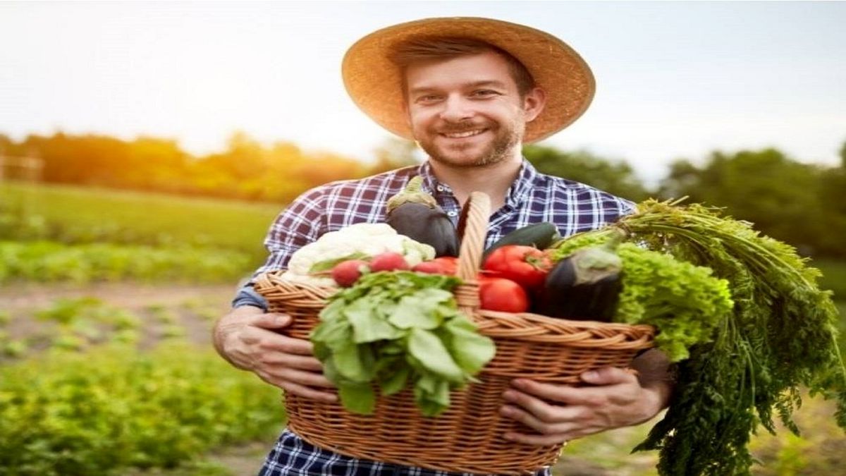 هشدار در مورد باکتری‌های خطرناک در سبزیجات ارگانیک
