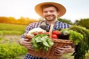 هشدار در مورد باکتری‌های خطرناک در سبزیجات ارگانیک
