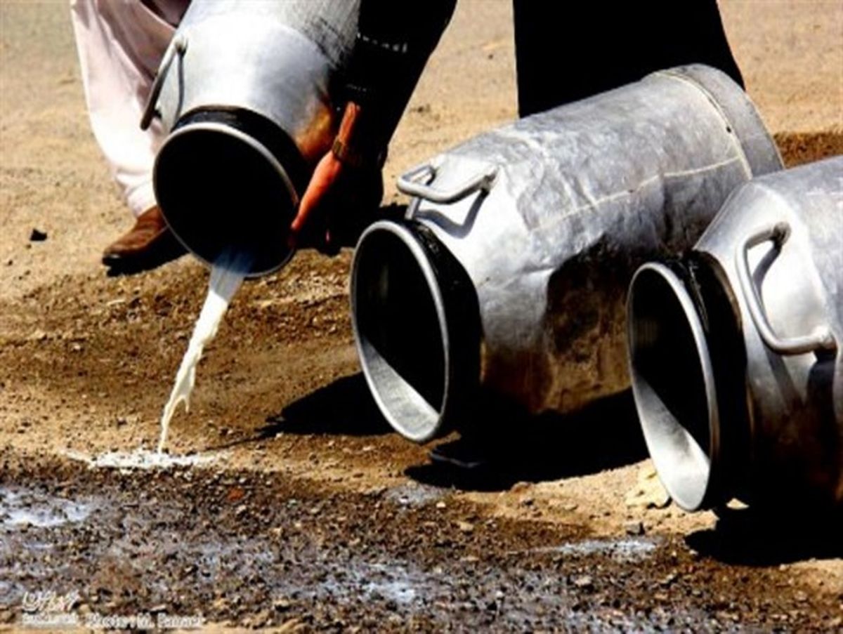 حل شدن مشکل دامداران به قیمت مفت خری!