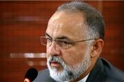 شهنازی: لازم شد برای کارگری هم می‌آیم
