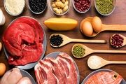 این گیاهان، منبع پروتئین هستند