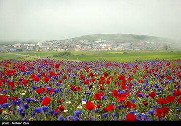 طبیعت
