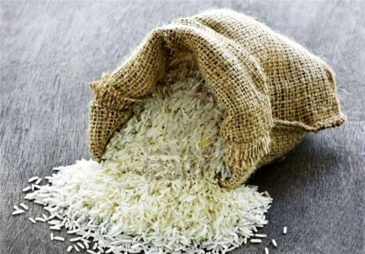 تولید برنج ۲۰ درصد افزایش یافت
