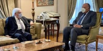 دیدار فرستاده ویژه دبیرکل سازمان ملل در امور یمن با سامح شکری