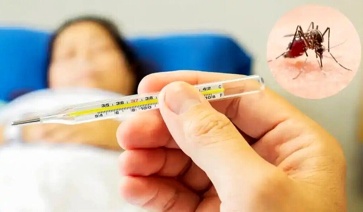 تب دنگی چقدر خطرناک است؟/ این افراد نوع شدید دنگی را می‌گیرند
