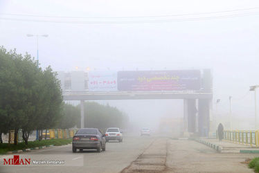 بندر مه آلود