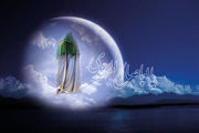 چرا اعتقاد به ولادت حضرت مهدی(عج) اهمیت دارد؟