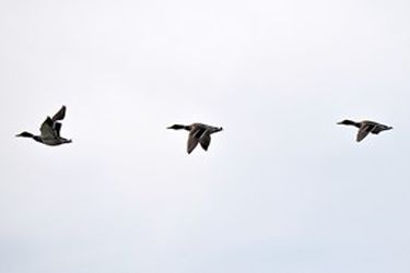 13951214001167636242323742256163_79668_PhotoU
