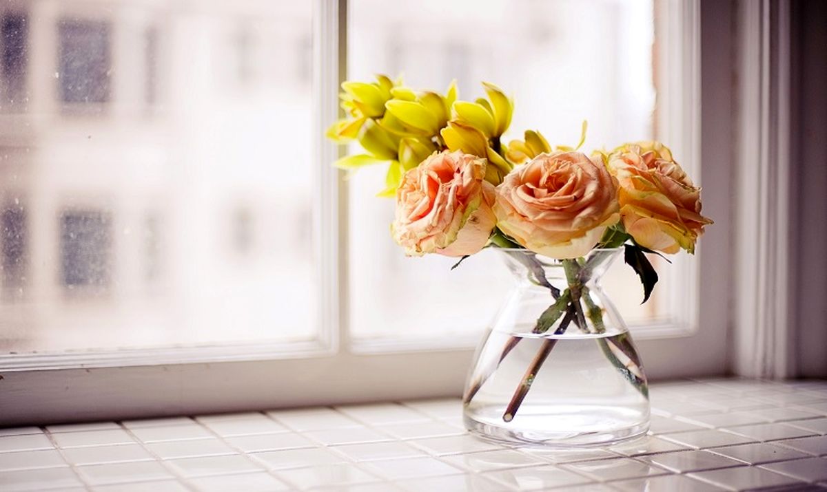 چند راهکار قرآنی برای به دست آوردن آرامش