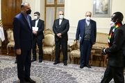  جدیت دولت سیزدهم برای توسعه روابط