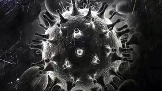 مبارزه با قارچ سیاه بسیار پیچیده است