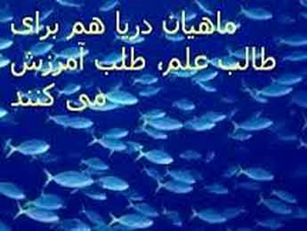 ارزش طلب علم