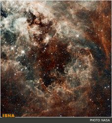 n00179173-r-b-014