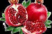 بهترین زمان ها برای انجام حجامت