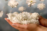 چند پند کوتاه