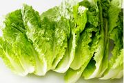 فواید جادویی کاهو برای بیماران دیابتی