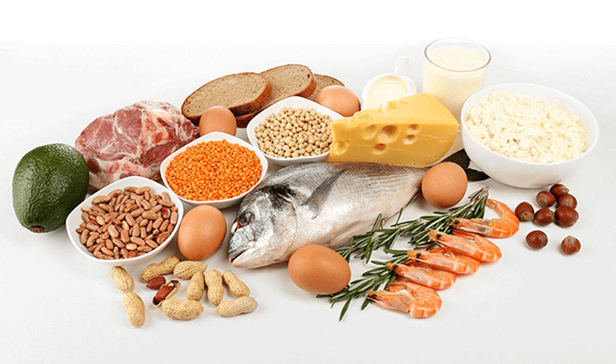 بهترین منابع پروتئین برای کاهش وزن