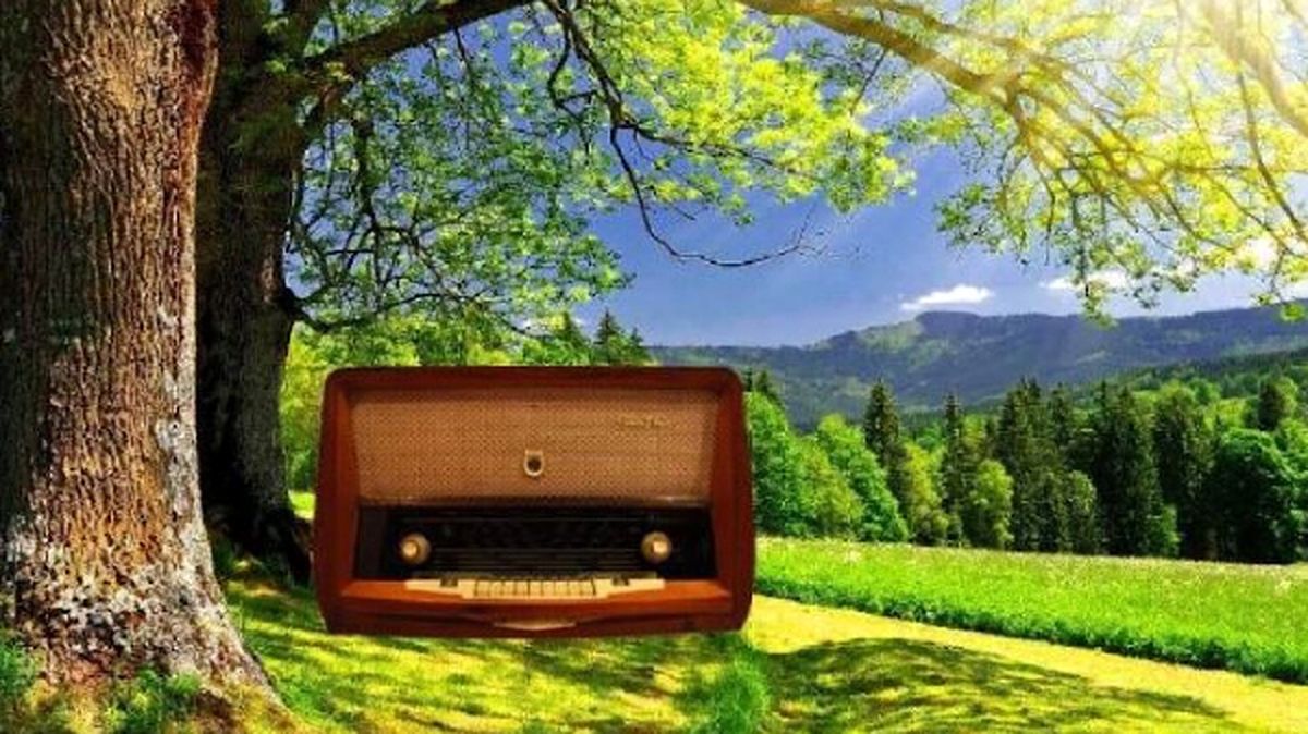 ویژه‌برنامه‌های رادیو برای نابینایان