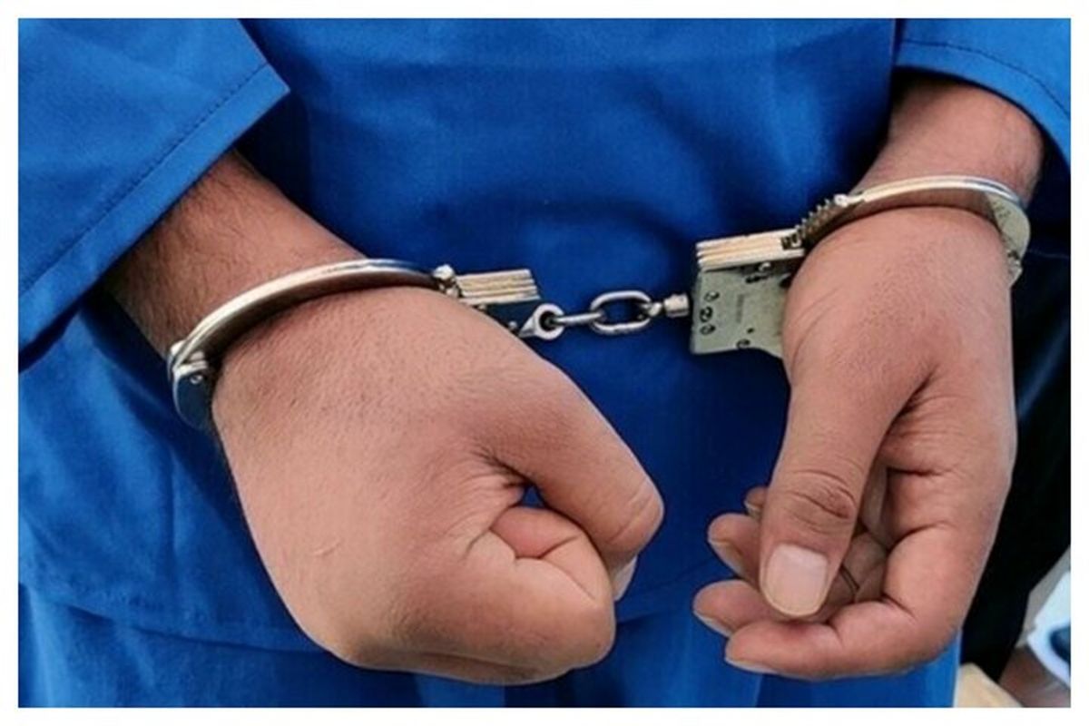 اعضای باند کلاهبرداری اعطای تسهیلات بانکی دستگیر شدند