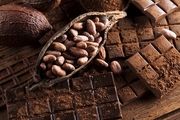 خواص فلاونول‌های کاکائو برای سلامتی