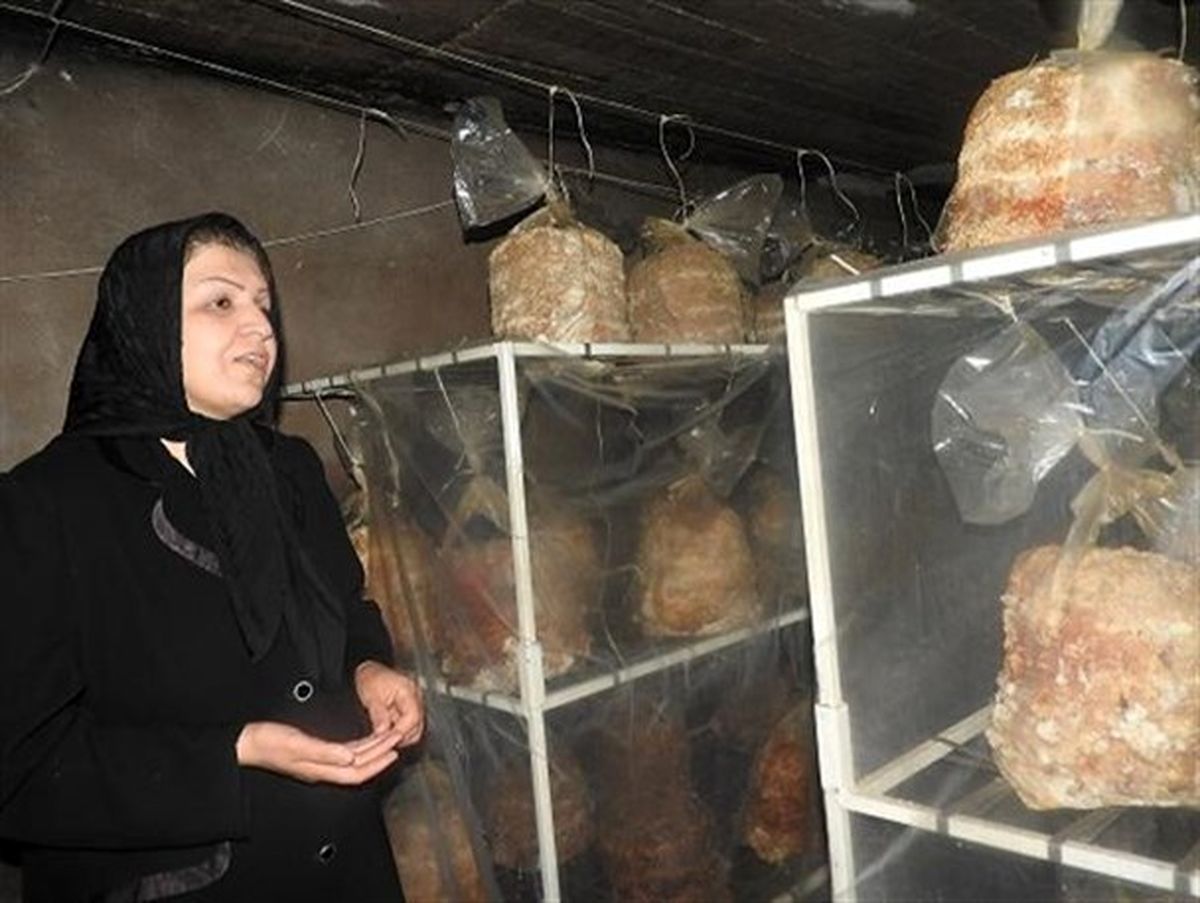 پرورش قارچ توسط بانوی ارومیه ای